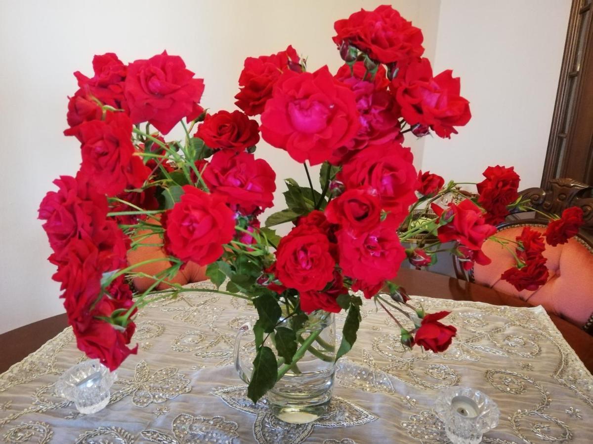 Ferienwohnung Rosen und Rosse Zweibrücken Exterior foto