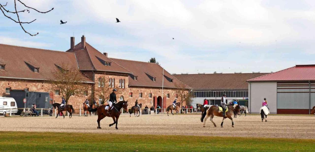 Ferienwohnung Rosen und Rosse Zweibrücken Exterior foto